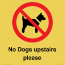 no-dogs-upstairs-please-~